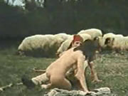 Yunan Vintage Koyun Çayır Seks