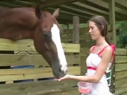 Kız besleme atı